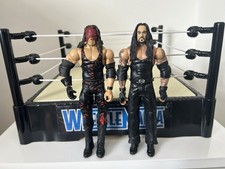 WWE The Undertaker & Kane