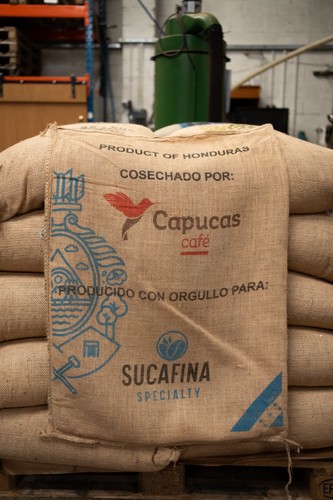 One heavy honduran capucas - one,