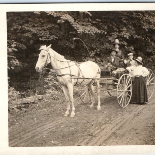 C1910s horse carriage rppc - c1910s,