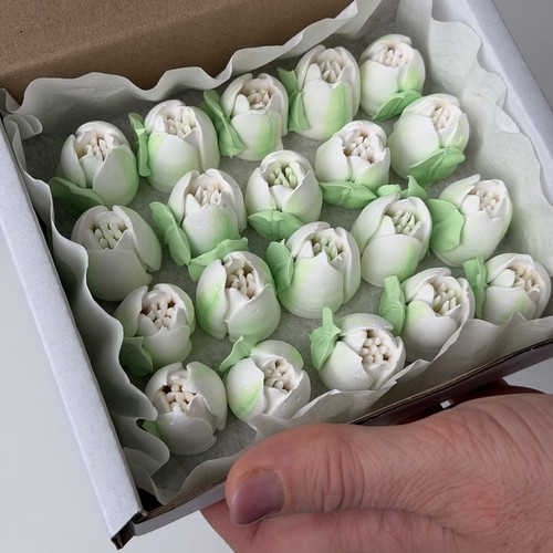 Edible tulips sugar cake - tulips,