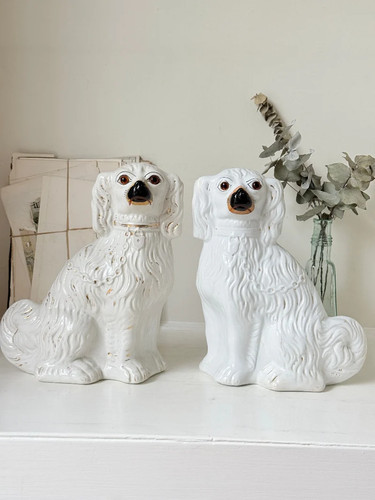 Antique staffordshire spaniel - antique,