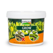 Topbuxus grow professional - grow,