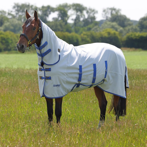 Shires tempest plus sweet - shires, sweet-itch