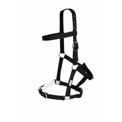 Kincade economy lunge - economy,