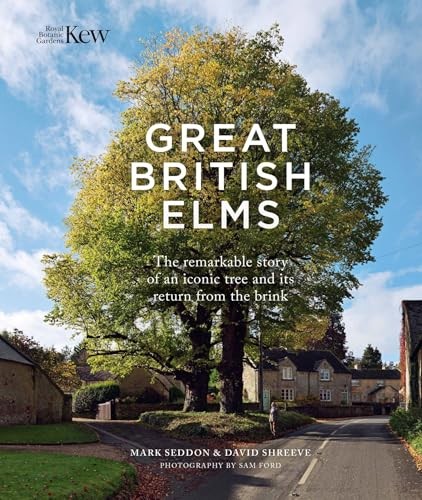 David shreeve great - shreeve,