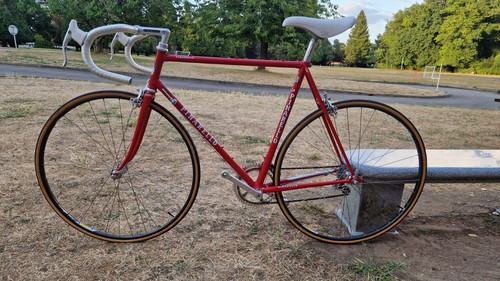 Pinarello treviso super - pinarello,