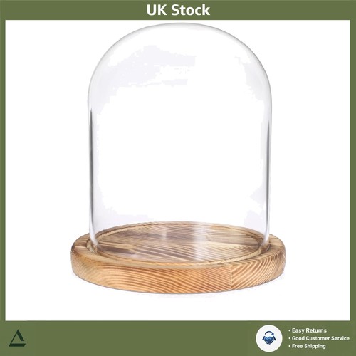 Elegant clear glass display - glass,