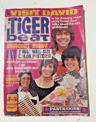 Dec 1971 tiger - dec,