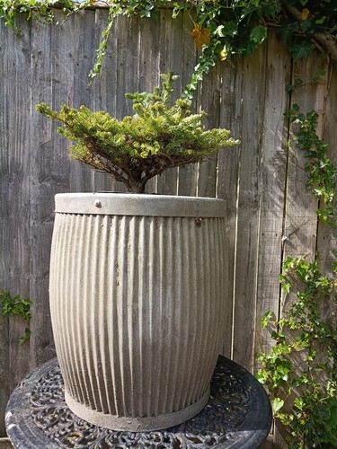 Vintage galvanised dolly tub - galvanised,