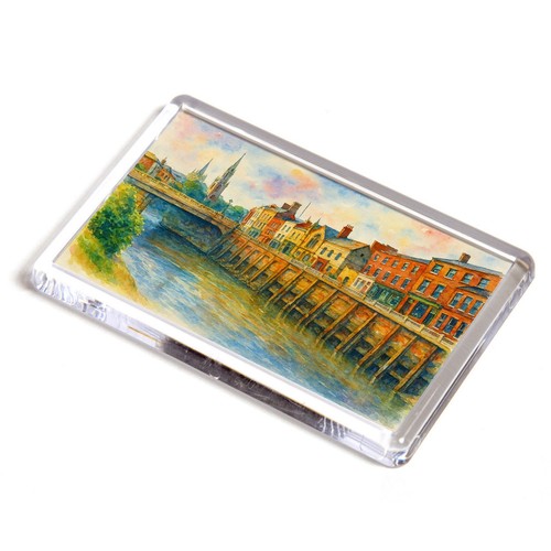 Fridge magnet the - fridge,