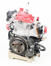 Senior Rotax Max EVO JAG