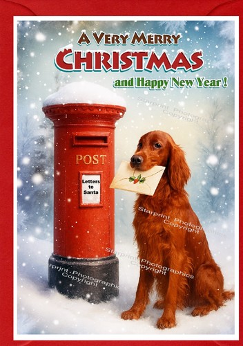 Irish setter red dog - setter, (4"x6")