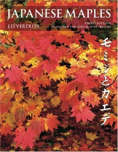 Japanese maples momiji and - momiji,