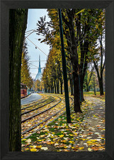 Tramway tracks in Turin Framed