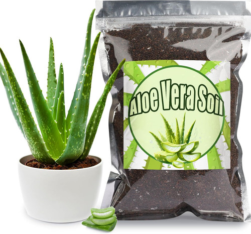 Aloe vera potting soil - vera,