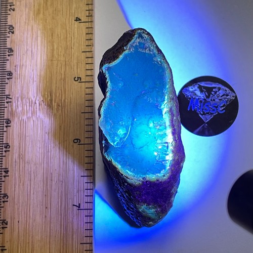 Blue amber fossilised from - blue,