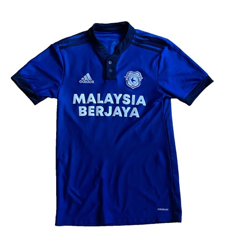 Cardiff city football - cardiff,