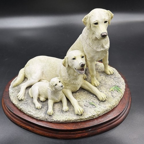 Border fine arts labrador - fine, dog
