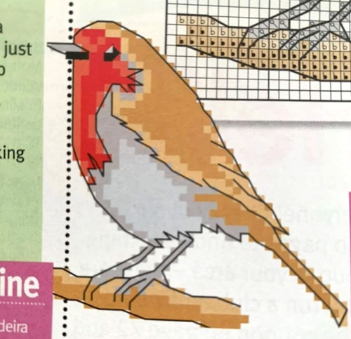 Small animal dog - dog, cat