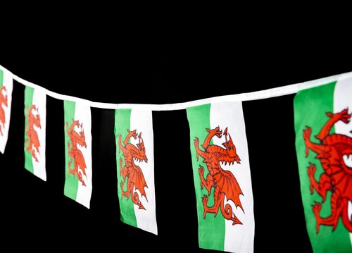 Welsh flag bunting 10 - welsh,