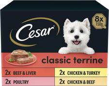 Classic Terrine Wet Dog Food