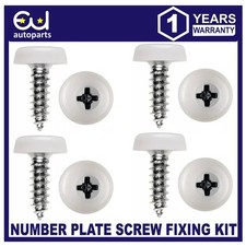 SET OF 4 NUMBER PLATE SCREWS