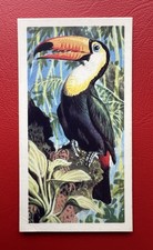 BROOKE BOND - RHODESIAN