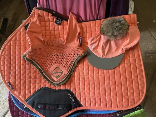 Lemieux sorbet set - sorbet,