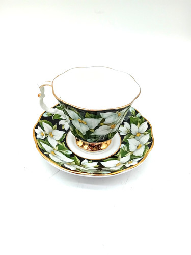 Royal albert provincial - royal,