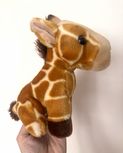 Chester zoo giraffe - zoo, soft