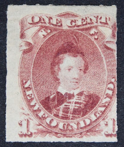 Newfoundland sg40 1877 - newfoundland, 1c