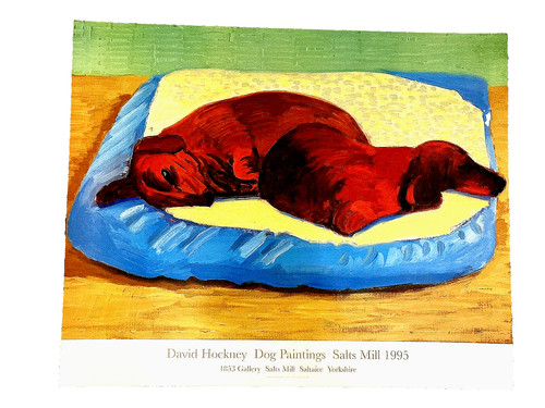 David hockney dachshunds - david,