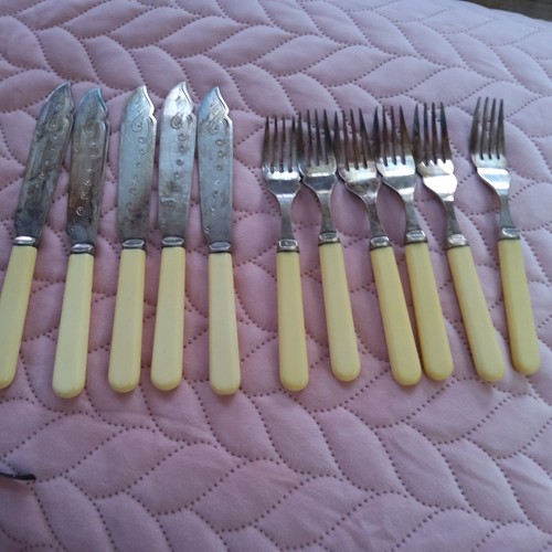 Set six faux bone - set,