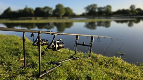 Prologic spider pod - prologic, carp