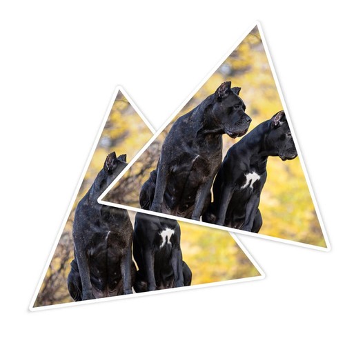 Triangle shape vinyl - triangle,
