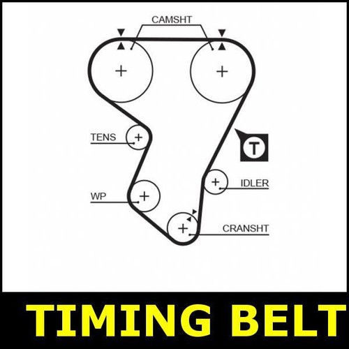 Timing belt cam - belt, fits