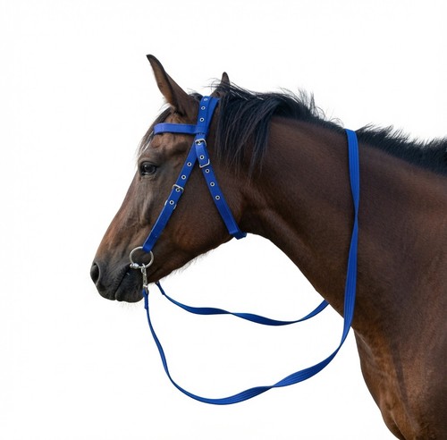 Horse bridle headstall reins - horse,