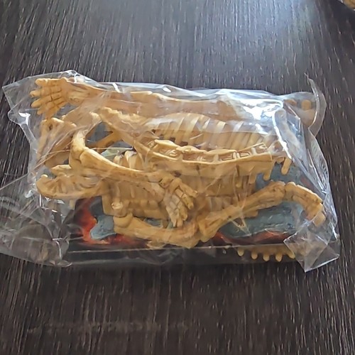 Dinosaur skeleton plastic - skeleton,