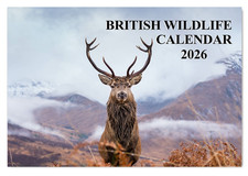 2026 A4 British Wildlife II