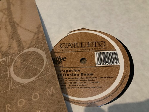 Carlito grapevine - grapevine, /