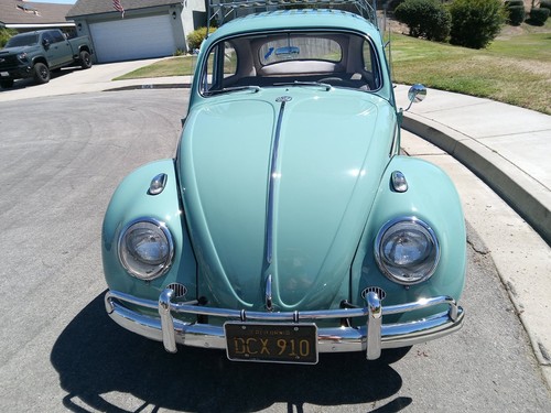 1961 volkswagen beetle - volkswagen,
