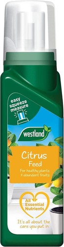 Westland citrus tree feed - westland,