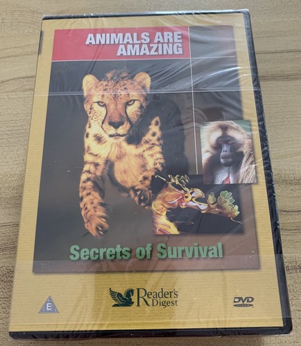 Sealed animals are amazing - sealed,