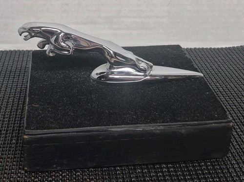 Vintage mounted jaguar - vintage,