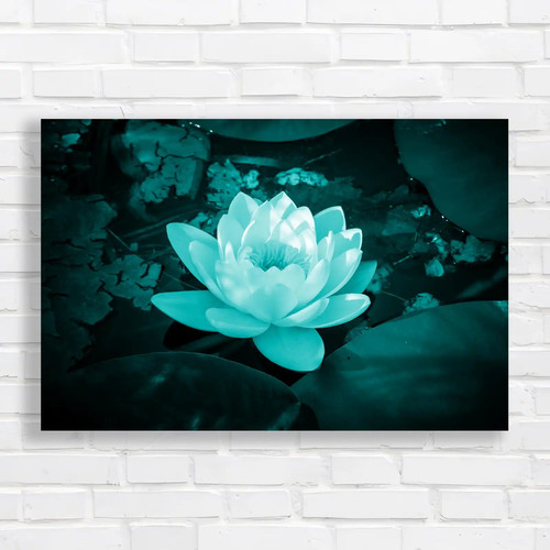 Serene lotus flower teal - serene,