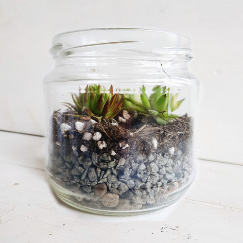 5cm diy terrarium kit - 8.5cm,