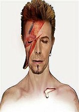 David Bowie - Becoming Bowie [2 DVD SET] [2014] [NTSC] {Free P&P Tracked 24}