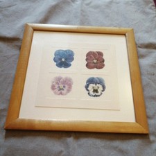 Ikea Wooden Framed Flower Print 1999 Pansy/Viola/Violet 
