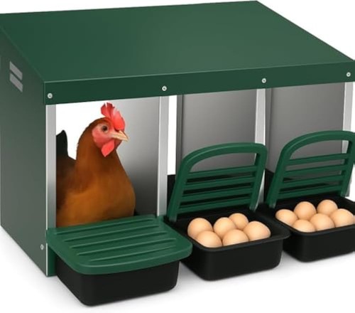 Roll away chicken - nesting, box
