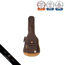 Ibanez Acoustic/Electric